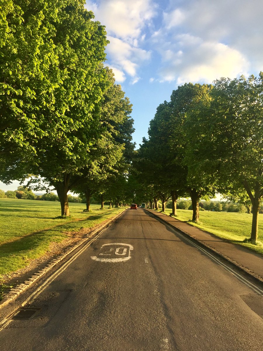 Durdham Downs : a mental sanity for runners and walkers.