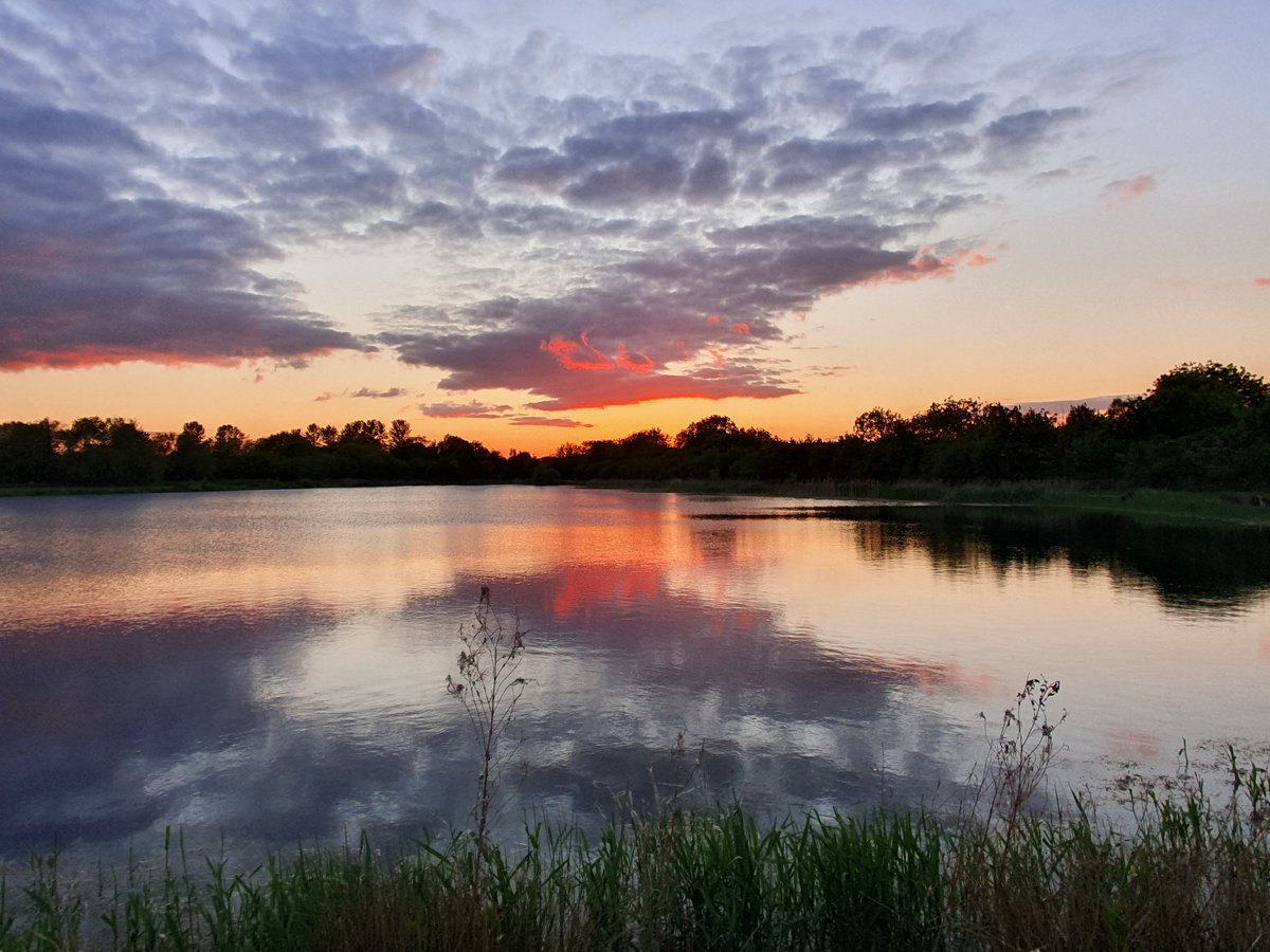 cleanair_doc's tweet photo. Stunning #WestOxfordshire evening walk along the #WindrushPath and #TarLakes. Beautiful route, protected and maintained by the excellent @LowerWindrushVP https://t.co/d13fPh5R73