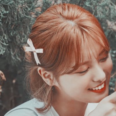 ahin/daisy: momoland