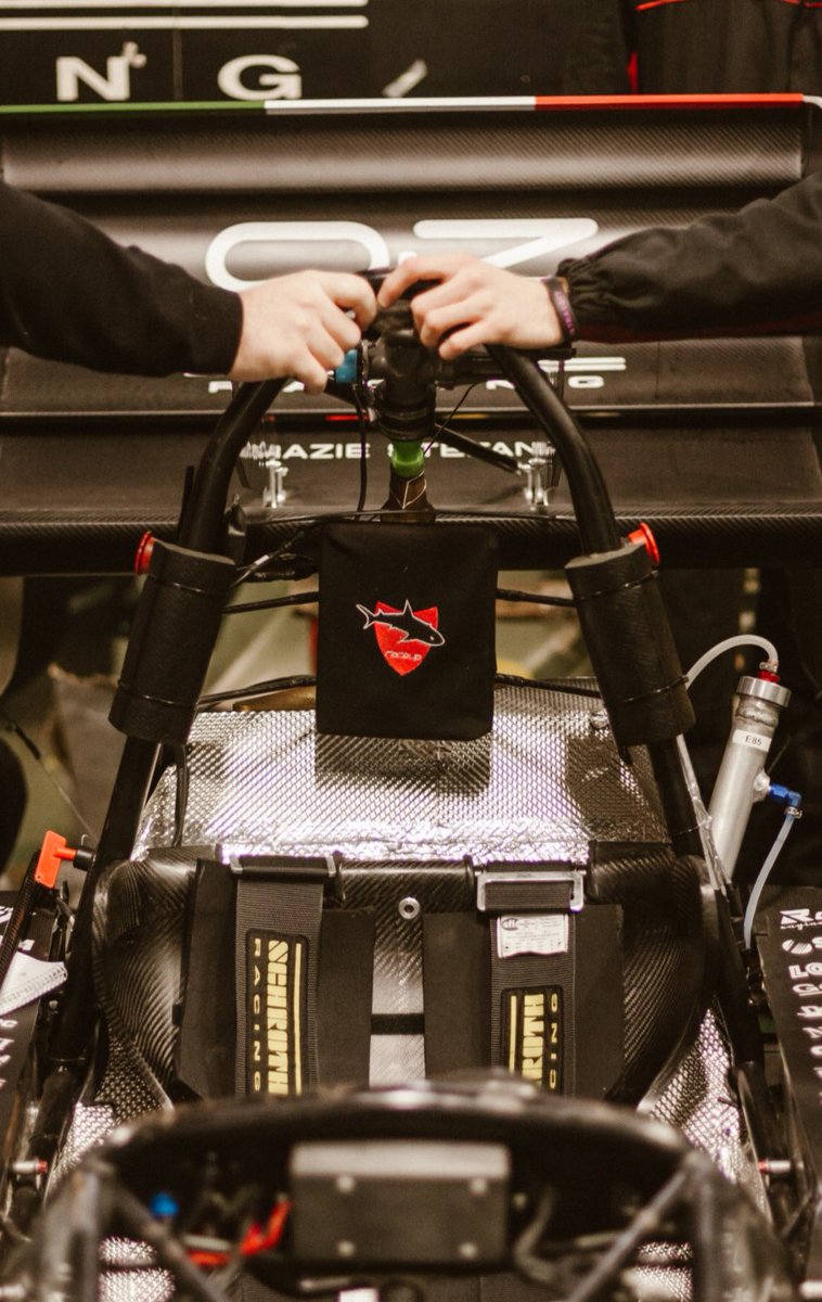 🎨 Which classical painting does it remind you guys? #raceup #formulastudent #formulasae #unipd