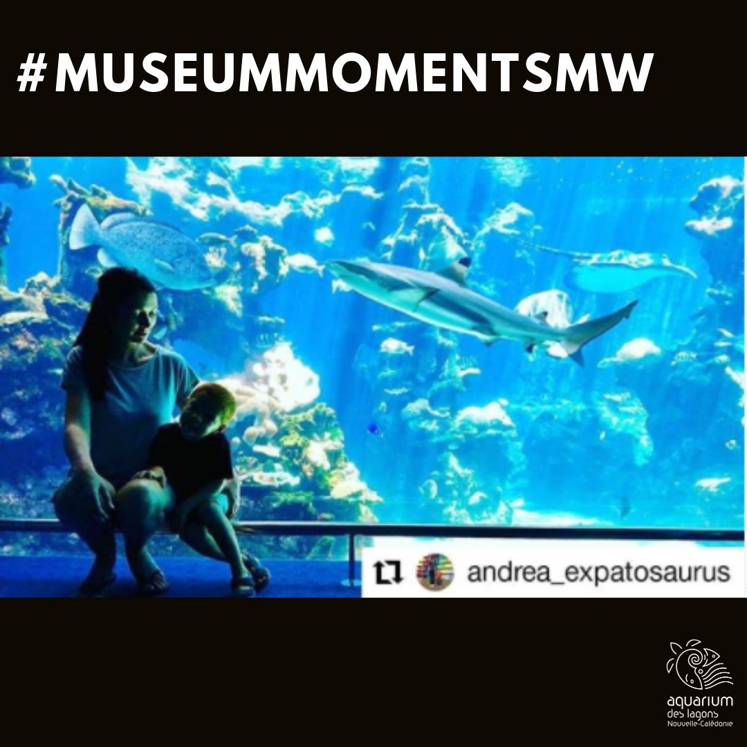 Nos visiteurs partagent souvent des moments d'émotions et de bonheur à l'aquarium via les réseaux sociaux, à votre tour ?! 
#MuseumMomentsMW #aquarium #MuseumWeek #teamnc #tbt