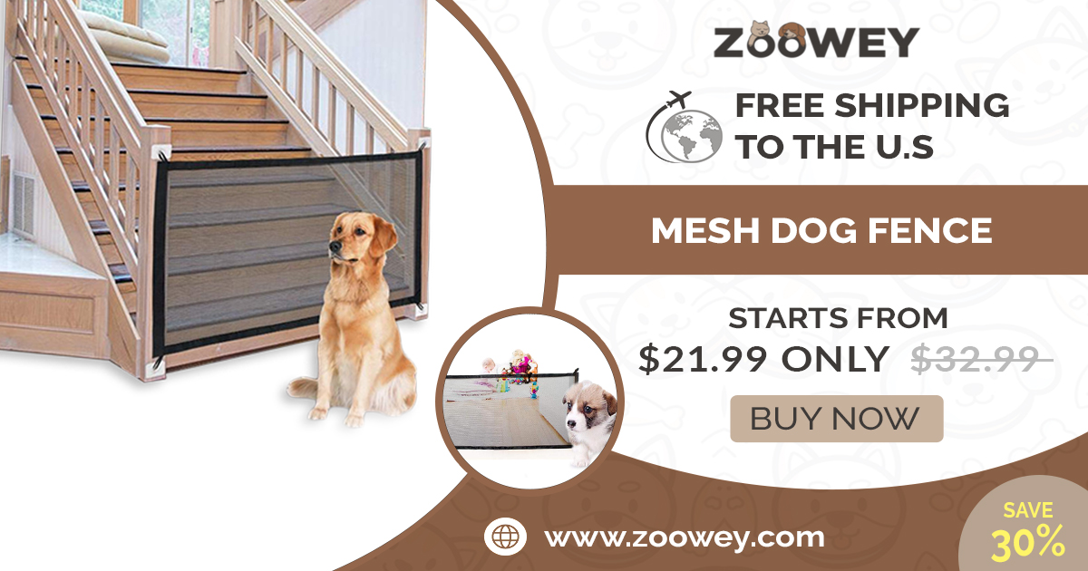 Zooweycom's tweet photo. Special promotion | For a Limited Time Only
# dog shop #bye_cat  #cat_shop  #small_pet #cat_toys #pet_supply_stores #dog_store #pet_supplies_online #online_pet_store #cat_furniture #dog_accessories #dog_furniture #cat_accessories #pet_supply_store_near_me https://t.co/wnD9TfGP5j
