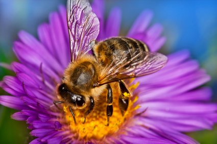 New blog posted: April Showers Brings May Pests: Watching for Spring Pests. Read more at: aerex.com/blog/april-sho…