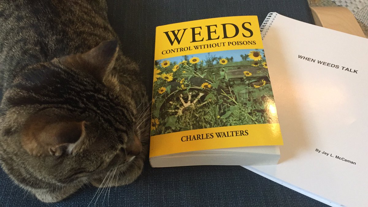 First real rain of the growing season means some reading, thanks to a recent <a href="/AcresUSA/">Acres U.S.A.</a>  book order. We’re finished seeding our cereals and onto less competitive crops like canola and beans. Trying to wrap my head around better holistic weed management. Any advice/experience!?