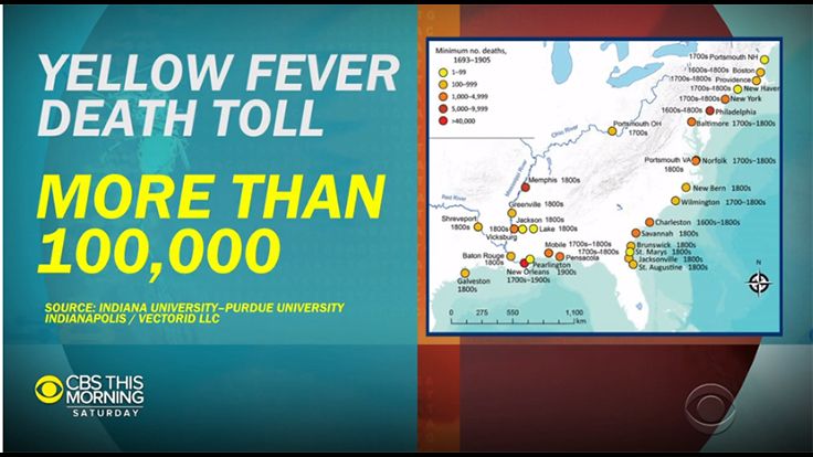 Forget "murder hornets," experts say — this is the real "murder insect" buff.ly/2YXNkzY