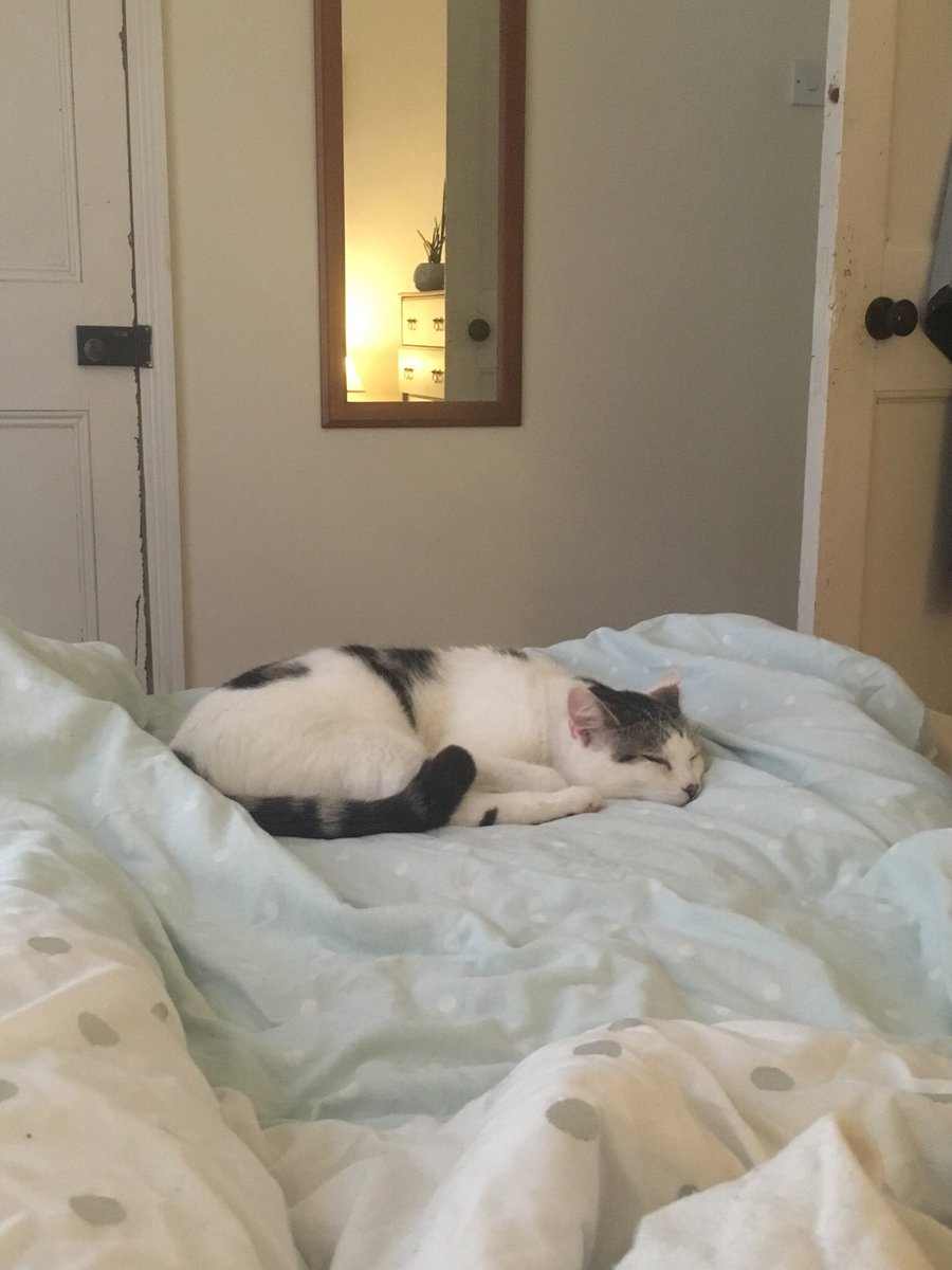 Day 2/7 of my life in pictures. Rules: no words, no people, nominate someone new every day. I was nominated by <a href="/MuttleyGump/">Dr Roni McGowan</a> and I nominate <a href="/RuthPatchett1/">Dr Ruth Patchett</a>