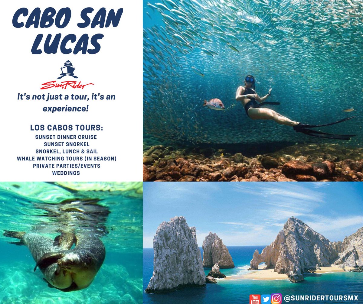 Sunridertours's tweet photo. Cabo San Lucas is calling! 📲
Join the #sunriderexperince on your next vacation! 🌊 https://t.co/ZPxiwNdBH0