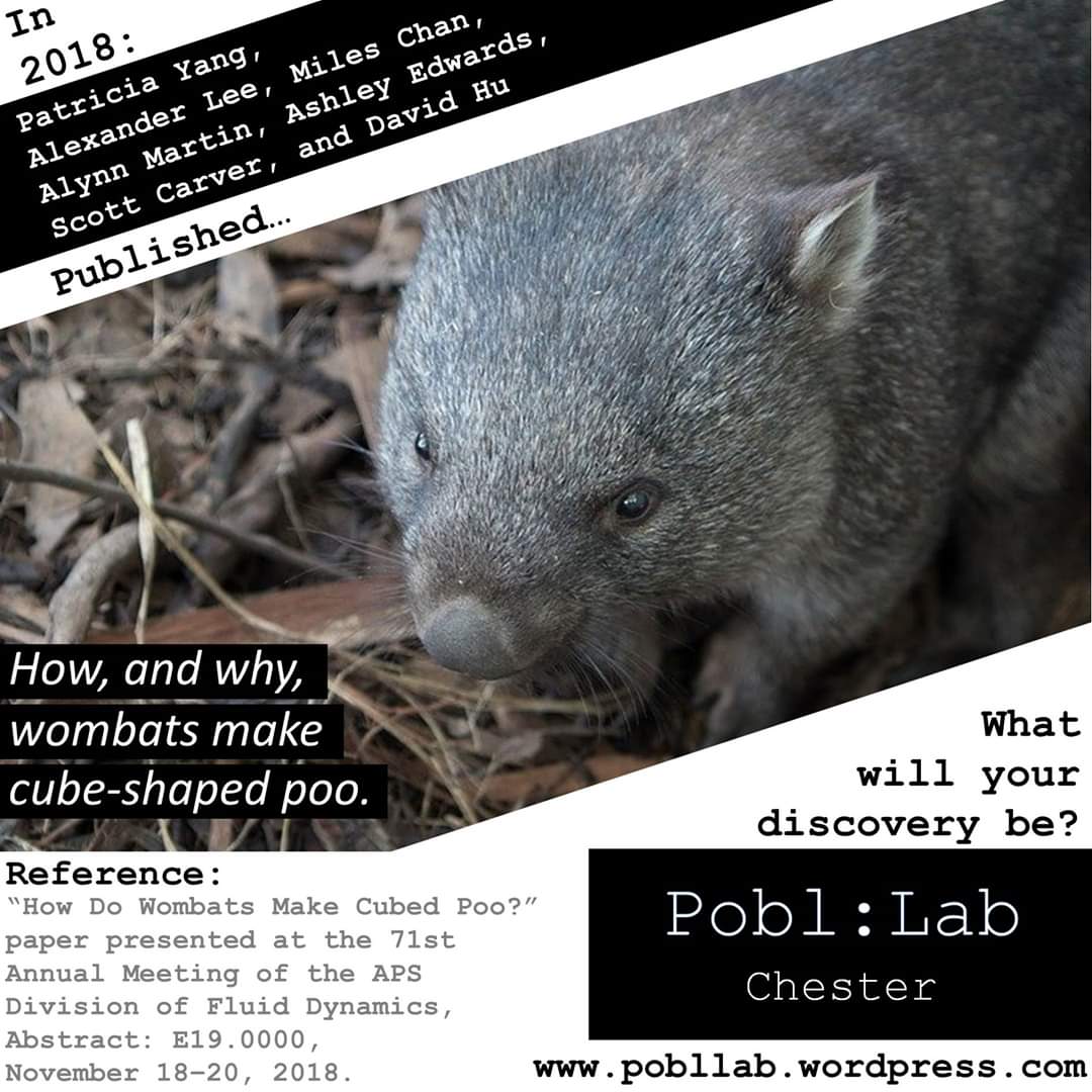 PoblLab's tweet photo. There's only a couple of days before the first meeting for Chester is announced.
Public science is coming to the city.
Stay tuned for details.
#wombat #chester #cheshire #science #hoole #upton #vicarscross #saighton https://t.co/l38Wi2z48P