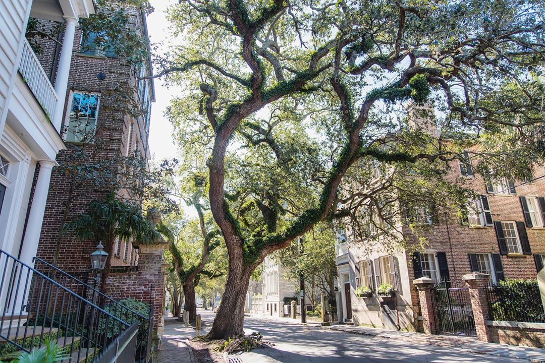 CharlestonPosts tweet picture