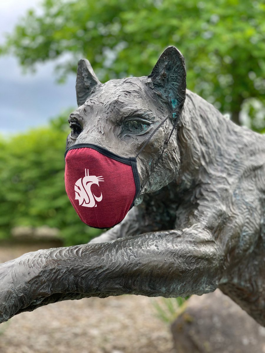MaxAult's tweet photo. Thank you @allmadeapparel for the fantastic donation of 500 face masks to @WSUVancouver!  As we look to the summer and fall, these will be critical for keeping our campus community healthy and safe.  Couldn’t ask for a better model - fits perfectly! #GoCougs #GoVanCougs https://t.co/P0jeNAMuOJ