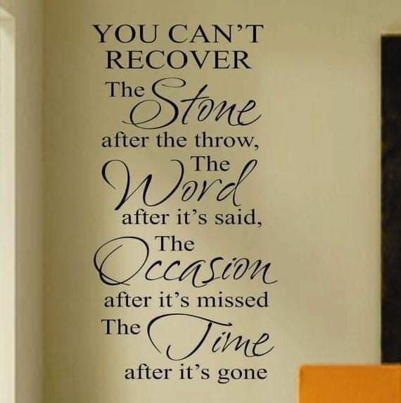 Laze_Maryam's tweet photo. Today, I found a quote that stuck with me and I think that will be my inspiration for daily routine

#youcantrecover 
#fourthings 
#stone 
#words 
#occasion 
#Time 
#ThursdayThoughts 
#InspirationalQuotes 
#goodmorningeveryone https://t.co/895KQAu2MB