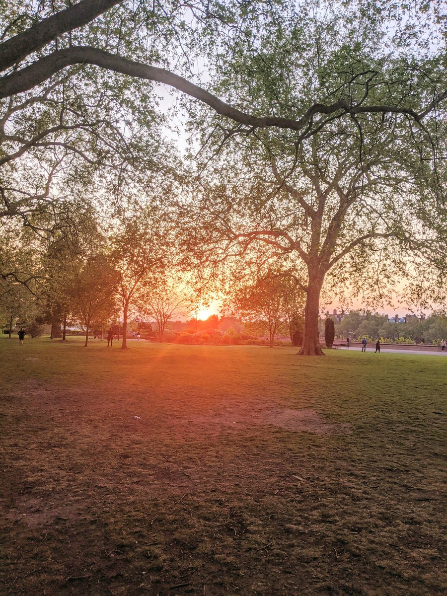 AndreaJorge93's tweet photo. Sunset run https://t.co/SRUcIhnyCb