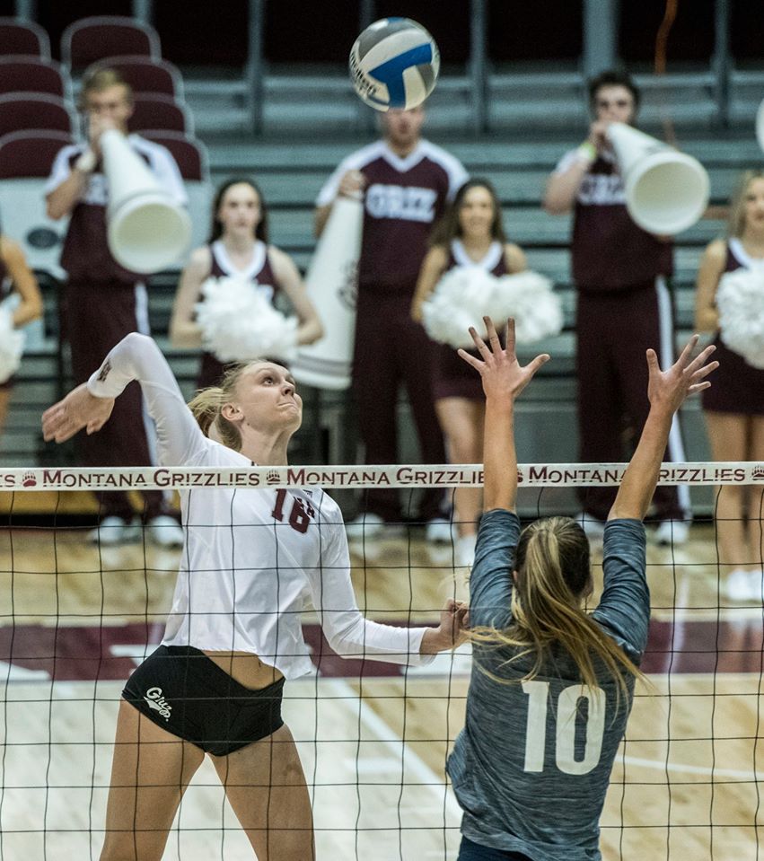 MontanaGrizVB's tweet photo. My Volleyball Story: @catiesem

✍️ https://t.co/eNtID0qmBO

#GrizVB #GoGriz https://t.co/vAujDF6CCe