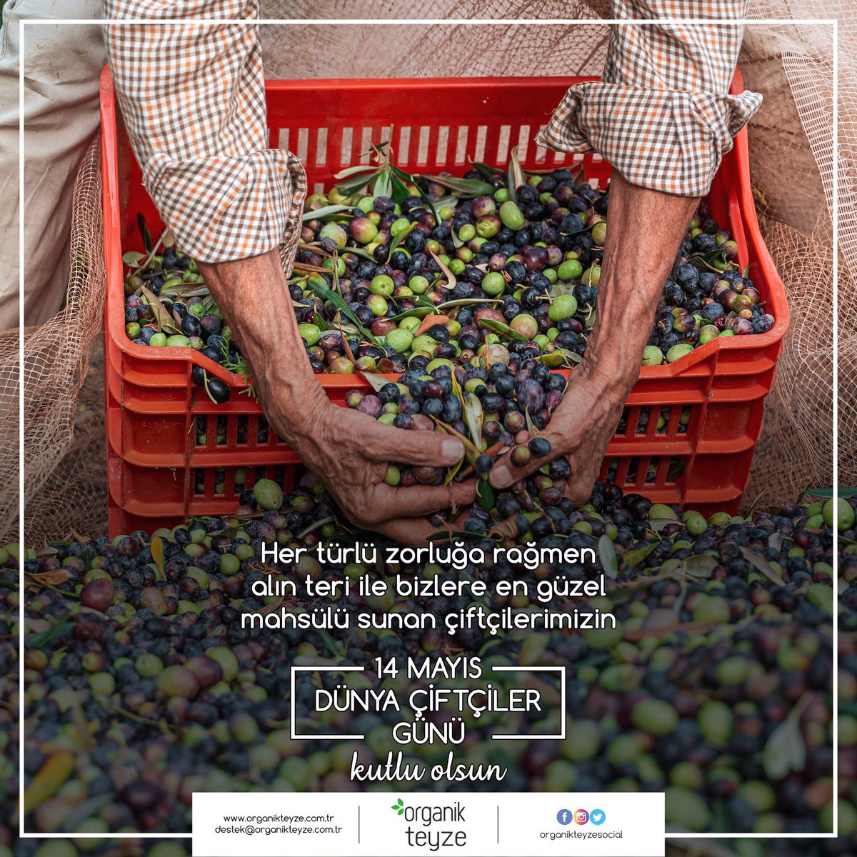 Her türlü zorluğa rağmen alın teri ile bizlere en güzel mahsülü sunan çiftçilerimizin #14Mayıs Dünya #ÇiftçilerGünü kutlu olsun. 
#çiftçi #zeytin #zeytinyağı #reçel #turşu #erişte #hasat #kırkağaç #manisa #organikteyze