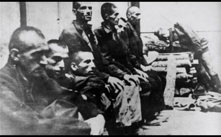 12/16 Cardinal  #Puljic won’t be praying won’t be praying for the souls that perished in  #Jasenovac extermination camp in  #Croatia Serbs were brought to Jasenovac after refusing to convert to  #Catholicism. Of the 80,914 victims that perished, 45,923 were  #Serbs