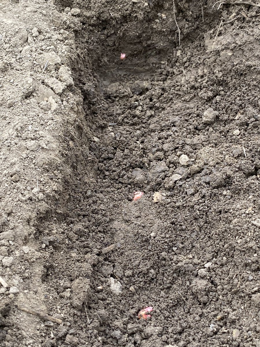 S&S Equipment Inc. tweet media