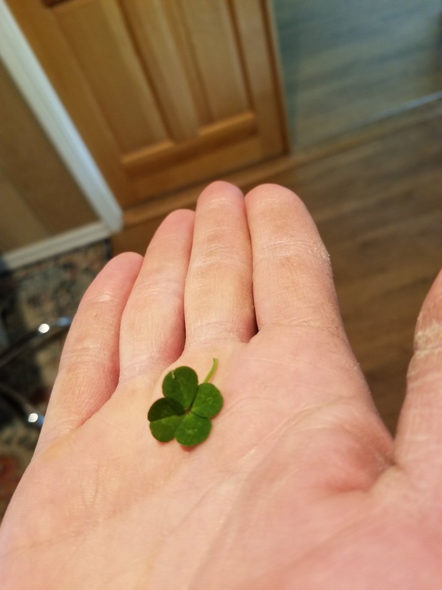 My oldest daughter found this in the yard. Pretty sure it mean the <a href="/ChicagoBears/">Chicago Bears</a> will win the Super Bowl this season. #BEARDOWN