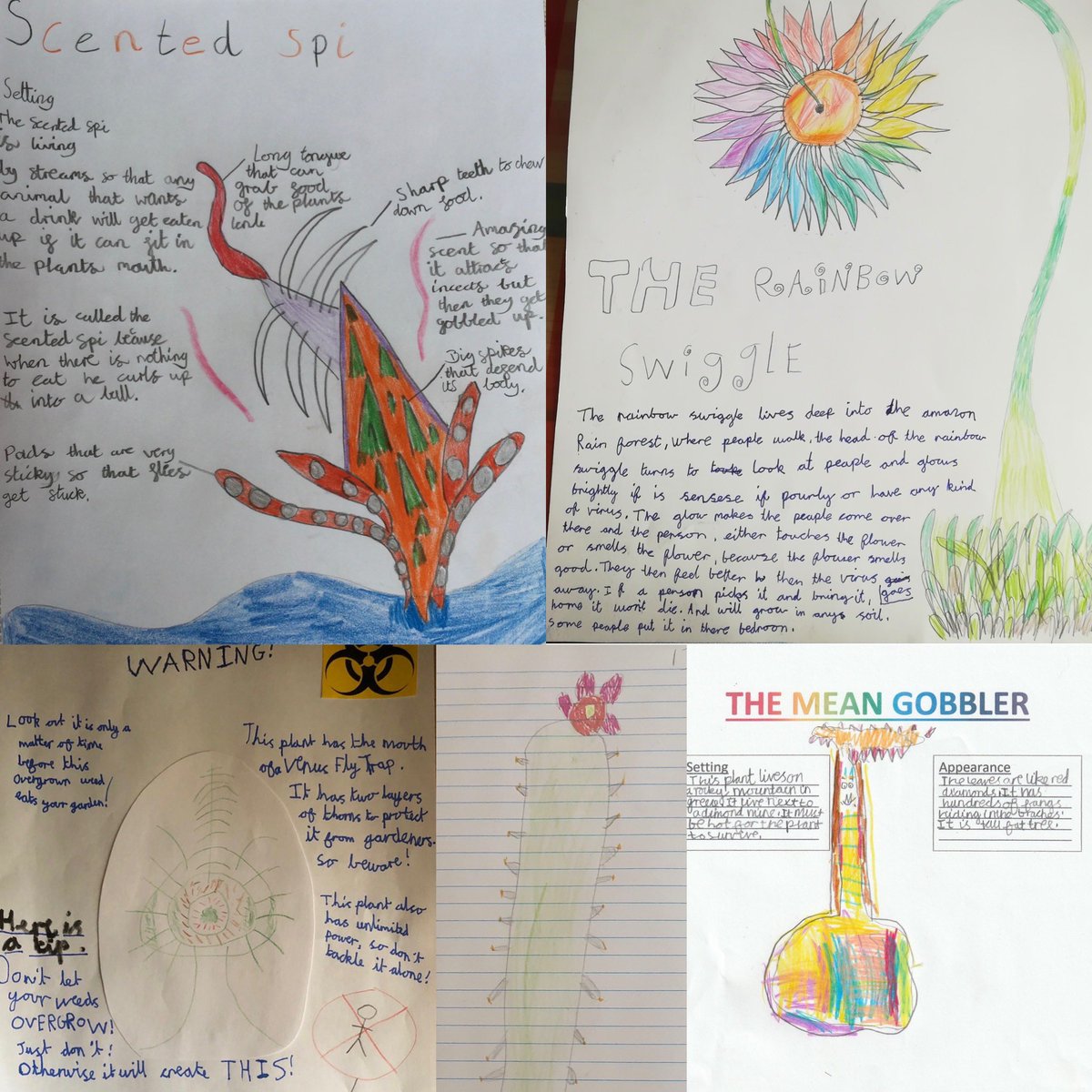 StMargs_Year3's tweet photo. Wow, I would not like to come across some of these Weird and Wonderful Plants @StMargaretsPrep! Just a small selection of our amazing character profiles from Year 3 linking our Science and Literacy units. #StMargsLiteracy #StMargsScience #HomeLearning https://t.co/33taFntcbq