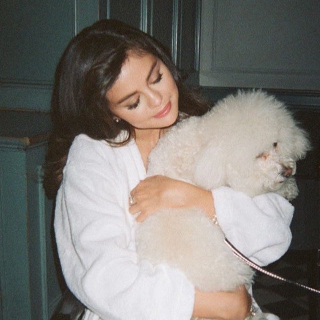 caIvinkIcin's tweet photo. Happy 4 years anniversary with this sweet creature🖤 thank you for staying this long, you’re my whole damn world🌎 @uwnicrown https://t.co/oNsJOYkzNJ
