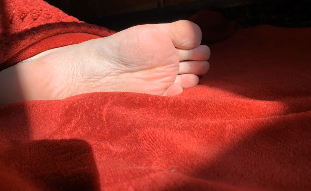 kay34074853's tweet photo. Who wouldn’t pay $2 for some sexy feet pics!? 😻 #footfetish #dmforpic #cheappic #footsie #toes #cozyfeet https://t.co/5geZtuO2Kc