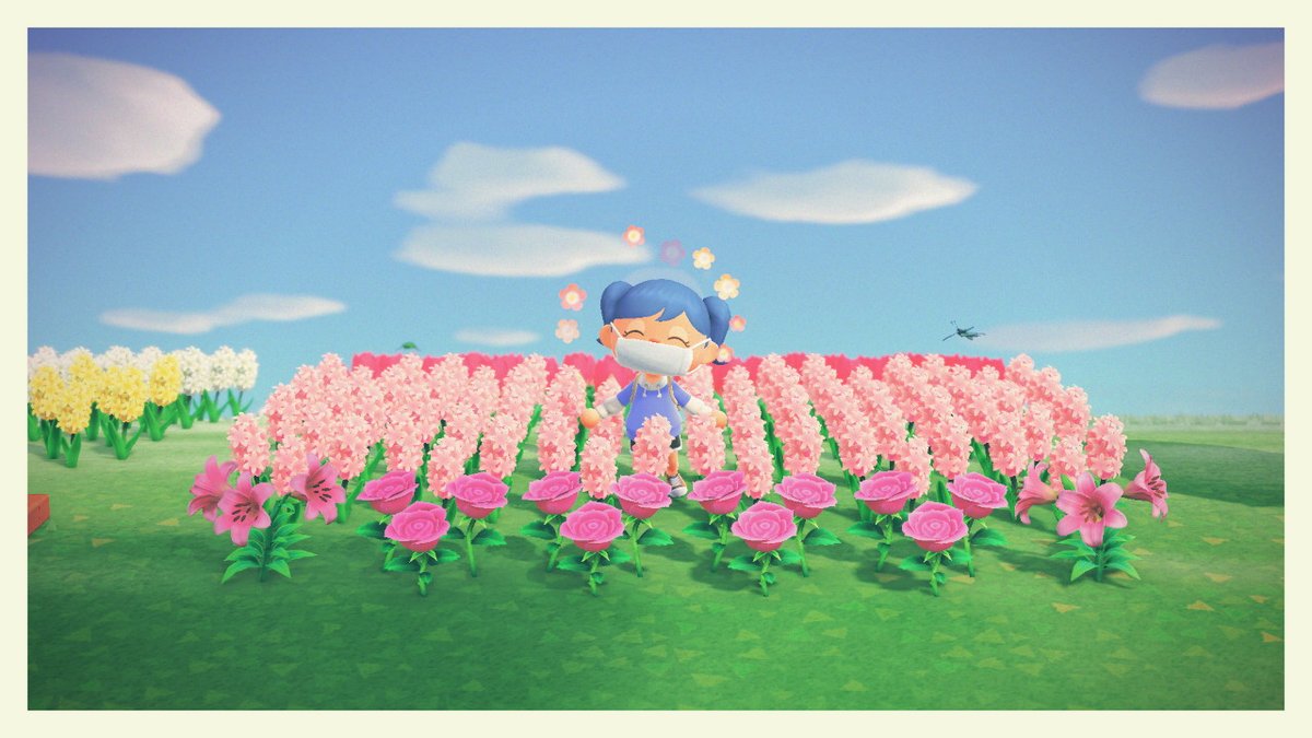 khaugestol's tweet photo. #AnimalCrossing #ACNH #NintendoSwitch https://t.co/EjGdmsN0vP