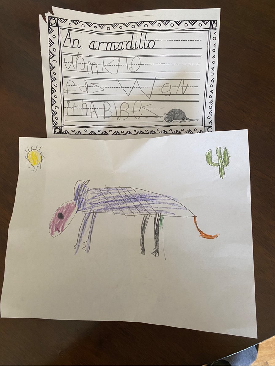 d61lupella's tweet photo. We are busy learning about desert plants and animals! Check out our armadillos and cacti!🌵#d61learns https://t.co/wK7kOnoFJO