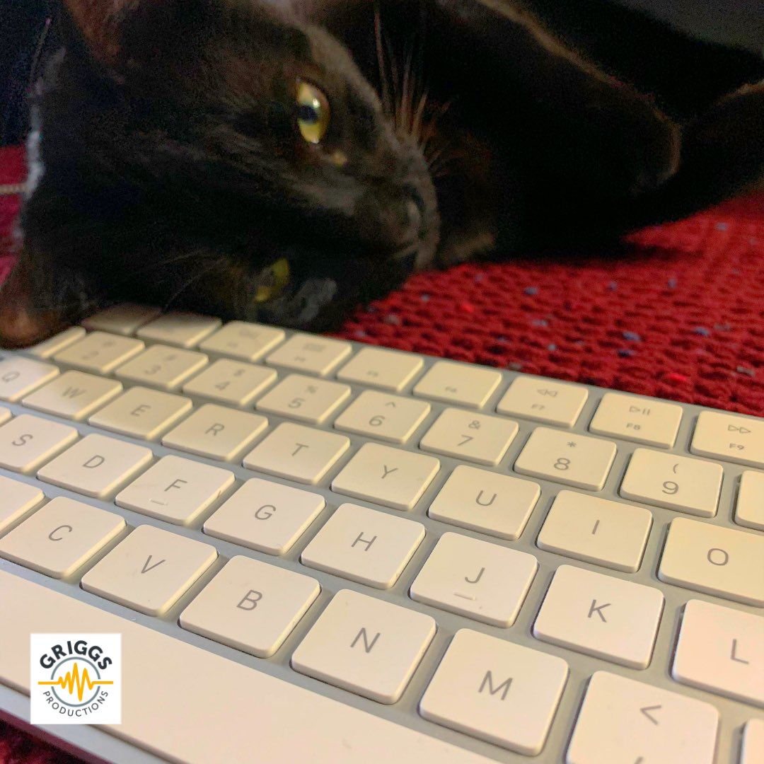 GriggsProd's tweet photo. My “helper” today...if you hear random meows in my next project you know why! #meow #CatsOfTheQuarantine #griggsproductions 🐈 https://t.co/MEPmT6OMRk