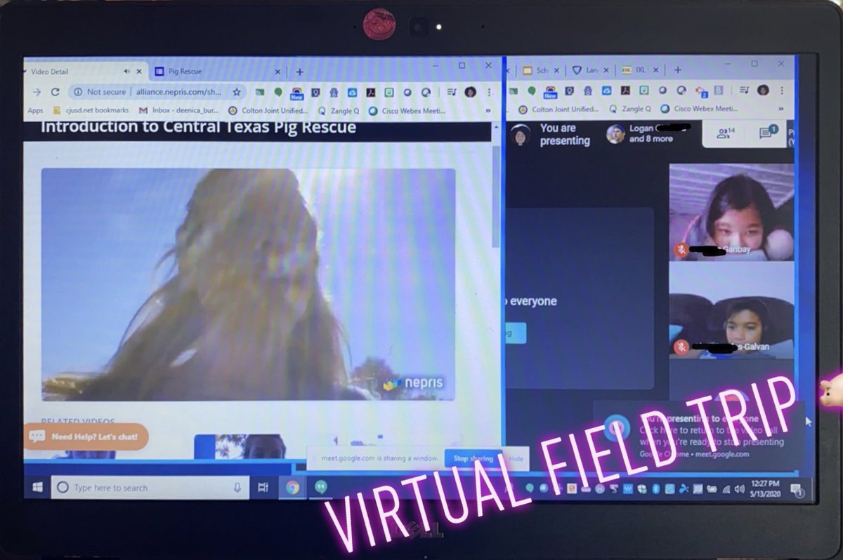 TeachB87's tweet photo. After many live sessions with surprise pet appearances, we went on a Virtual Tour today of a Pig Rescue in Texas π·π π #smith_stars #DistanceLearningSuccess https://t.co/kPtQECxE2l