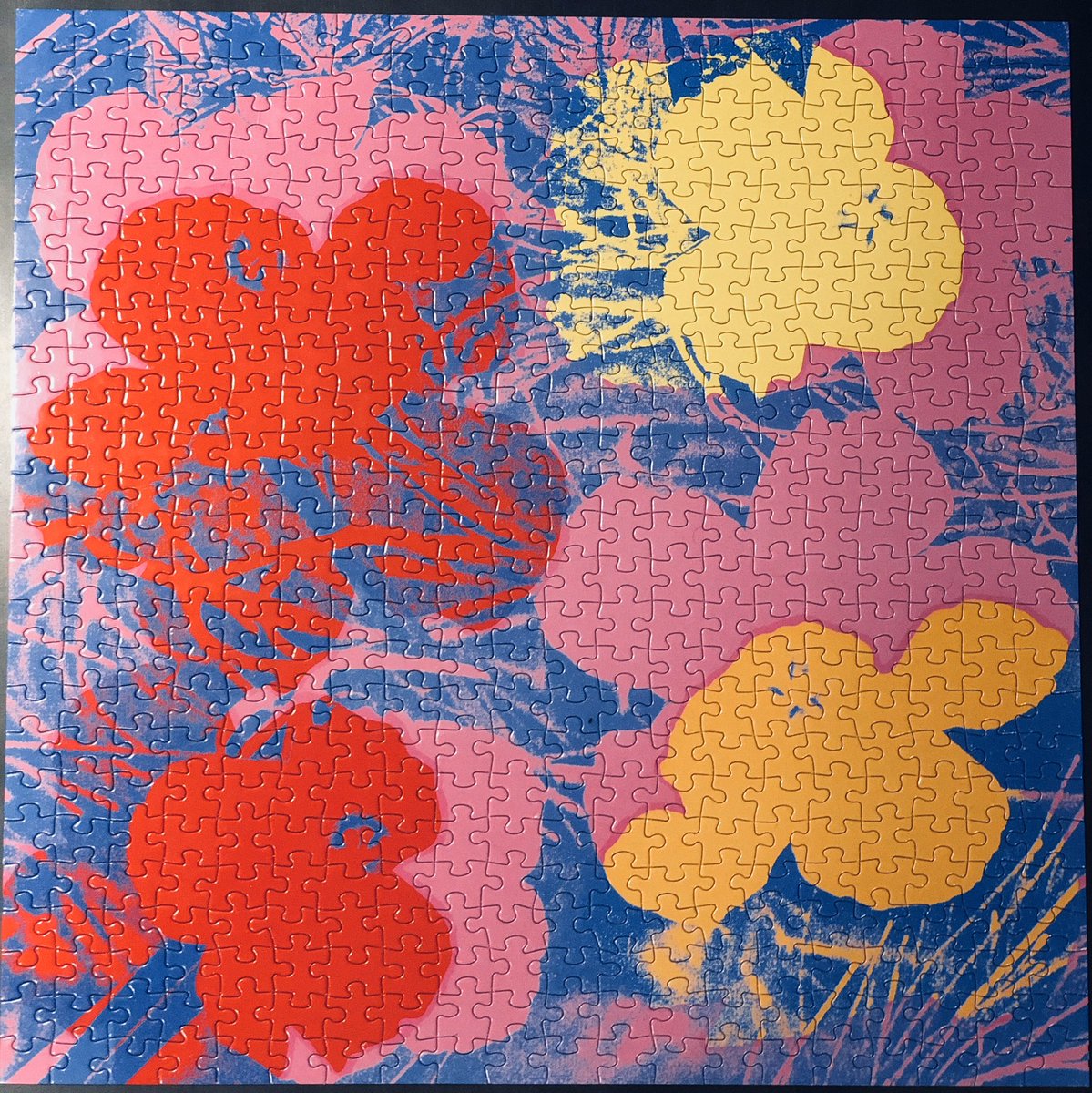 kellygelfer tweet media