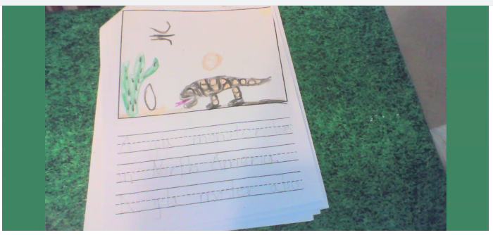d61lupella's tweet photo. We are busy learning about desert plants and animals! Check out our armadillos and cacti!🌵#d61learns https://t.co/wK7kOnoFJO