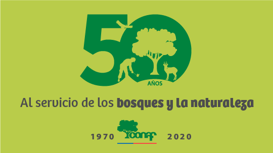 PCivil_informa's tweet photo. Nuestras felicitaciones a @conaf_minagri por cumplir 50 años al servicio de la conservación de los recursos naturales de Chile, el reconocimiento del equipo #ProteccionCivilViña a funcionarios #ProfesionalesDelBosque
#CONAF50Años https://t.co/yHbBCveOiK