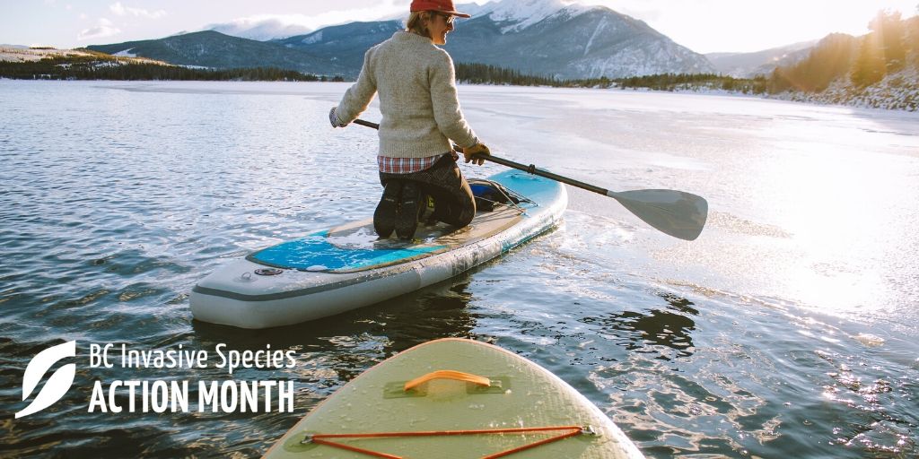 CKISS_Kootenay's tweet photo. Calling all #paddlers - practice #CleanDrainDry on all your gear to protect BC's waters from aquatic #invasivespecies. https://t.co/WoweOYTUG1