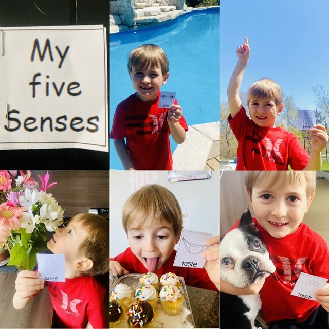 K1Basil's tweet photo. Using all our senses! Great job! https://t.co/D81gwZwfsG