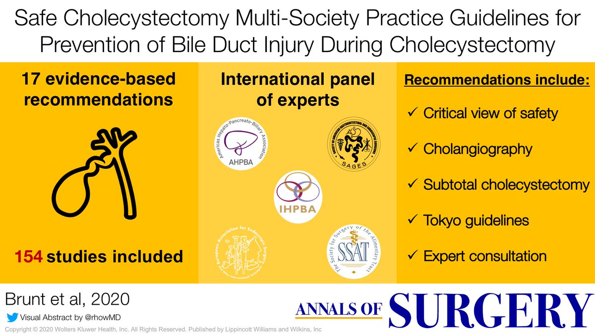 AnnalsofSurgery's tweet photo. New Online and FREE:

Safe Cholecystectomy Multi-society Practice Guideline and State of the Art Consensus Conference on Prevention of Bile Duct Injury During Cholecystectomy

https://t.co/c8XpJEaCVO

@SAGES_Updates @AHPBA @IHPBA @SSATNews @EAES_eu https://t.co/33OINvrcCa