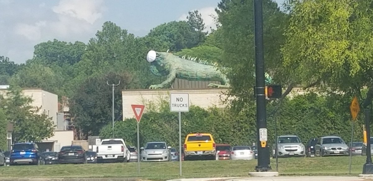 cupofteaintexas's tweet photo. Our FW Zoo "Iguana" is social distancing. 😂 https://t.co/YKMqydC53Z