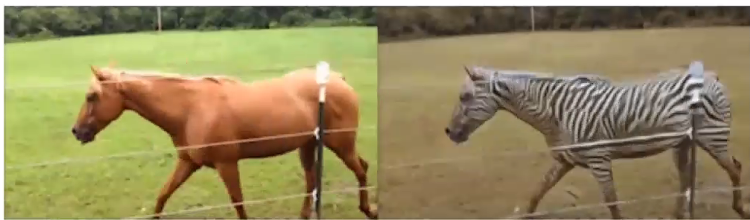 Steven Johnson tweet media