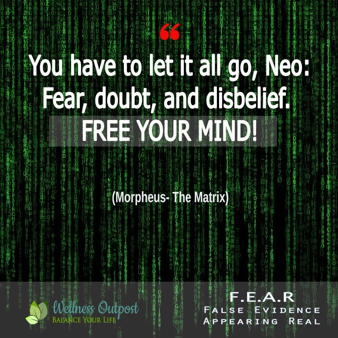 Our current society is a 3D Matrix (You didn’t think those were JUST movies, did you?)The purpose of the Matrix is to manufacture as much fear as possible to create dread and terror in the minds of the people, so they will avoid rising in groups and become weaker and disabled.