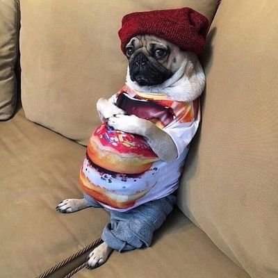 Tactix_SA's tweet photo. Just when I was ready to fix Umkhaba wami for 10 cases of Black Label, then #Ramaphosa happened 😪 https://t.co/lKTcIdESQX