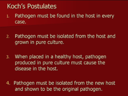 What they didn’t say was, “Oh look, tiny particles, what could they be?”They never investigated what these particles were, they just labelled it a virus. However, they could never meet the criteria to prove their assumption. A criteria known as Koch’s postulates.