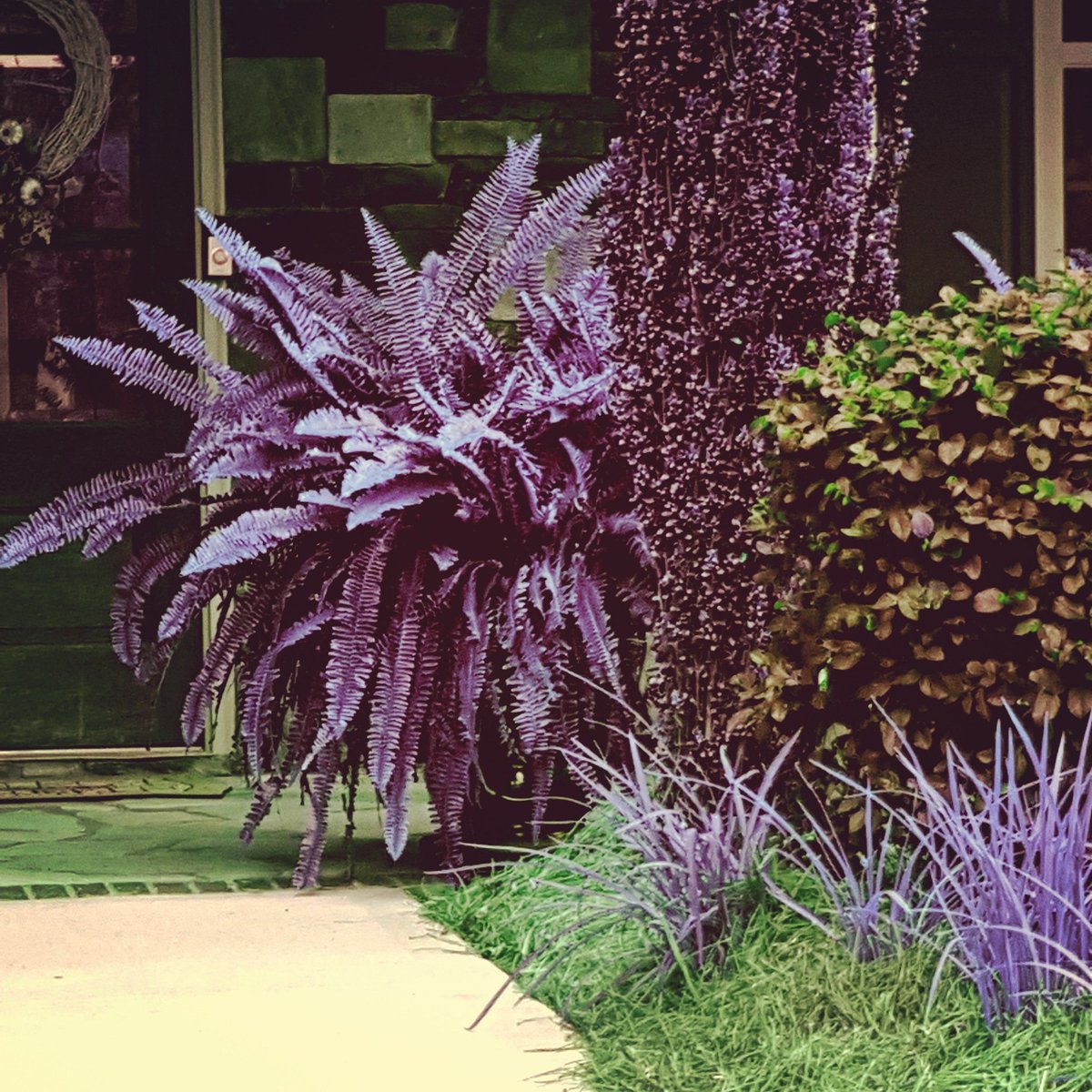 Ferns anyone?  Typical southern charm.