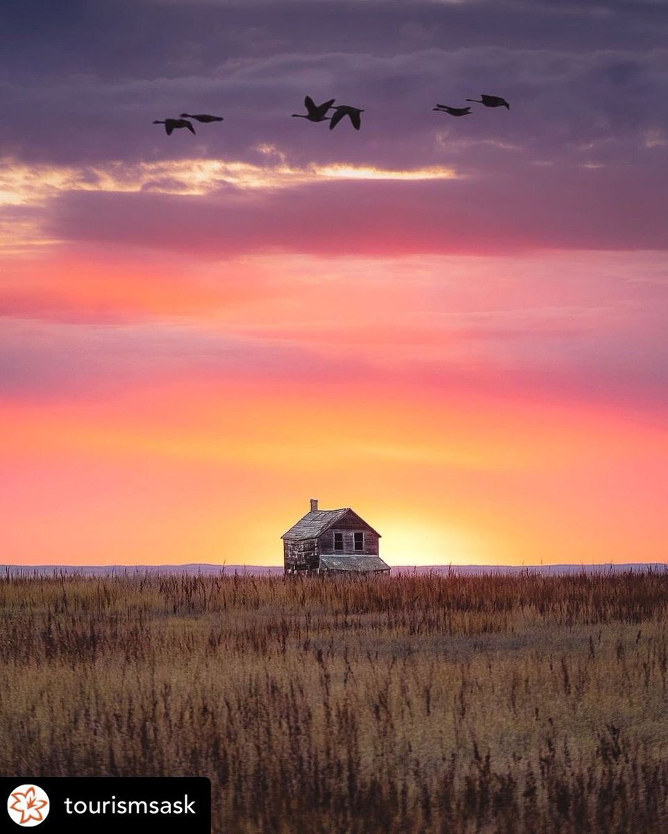 Nextlevelinsul1's tweet photo. Such a beautiful province to call home! Sharing @tourismsask picture. #prairieproud #sasky #prairieboys #madeinsask #madeinsaskatchewan #yxe #insulation https://t.co/MXBgid3XSm