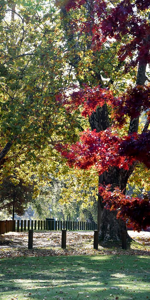 VisitAW's tweet photo. Capture nature through a lens! It's the most magnificent time of the year to witness the changing of the seasons. Share with us some of your fave A/W Autumn images #autumn #visitAW #NaturePhotography https://t.co/Wd8mFV7J4i https://t.co/aqKUFEDWkd