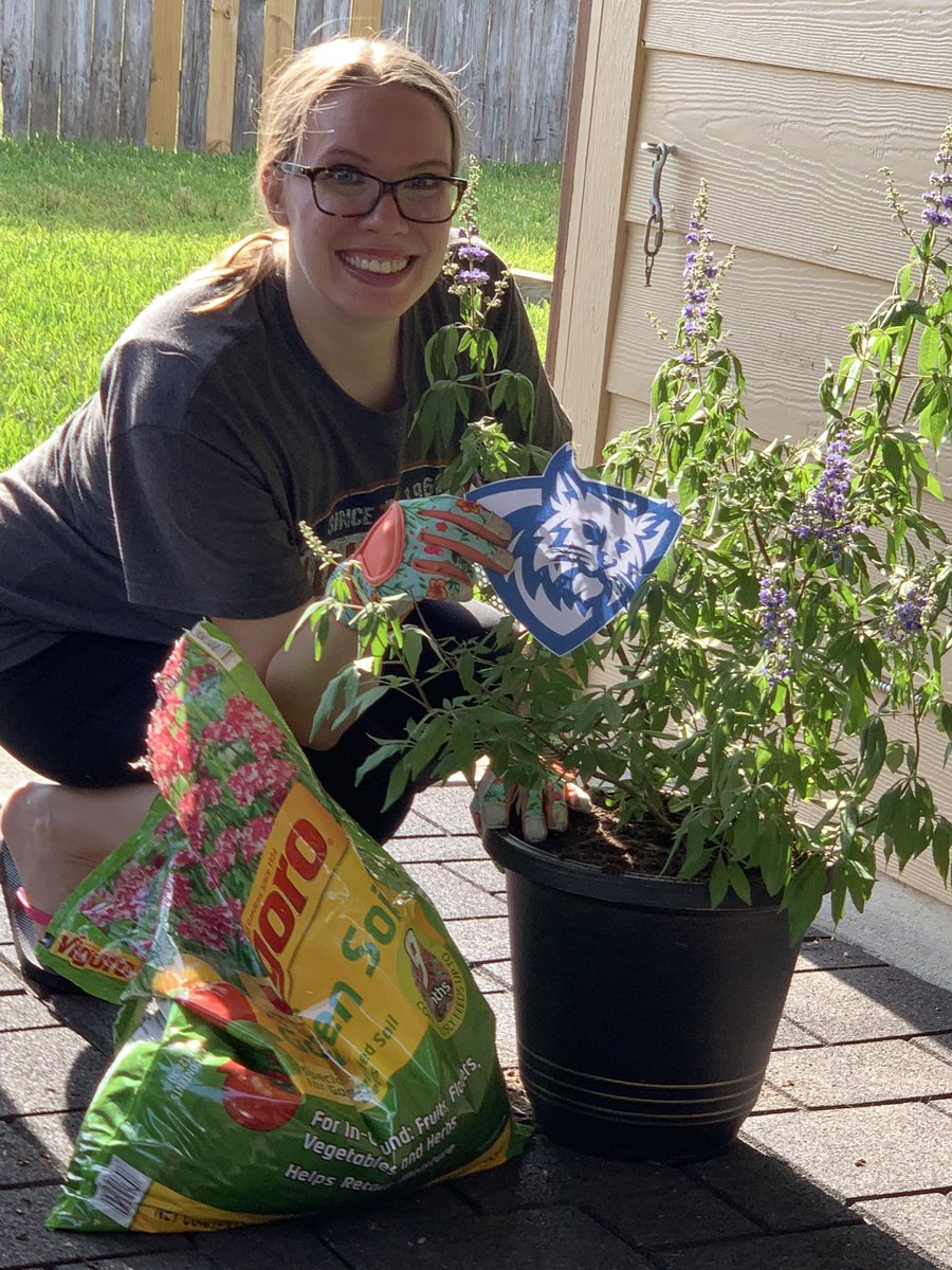 Where’s your wildcat? Mine is helping me replant my new tree! #WilsonSpiritChallenge @WilsonES_AISD