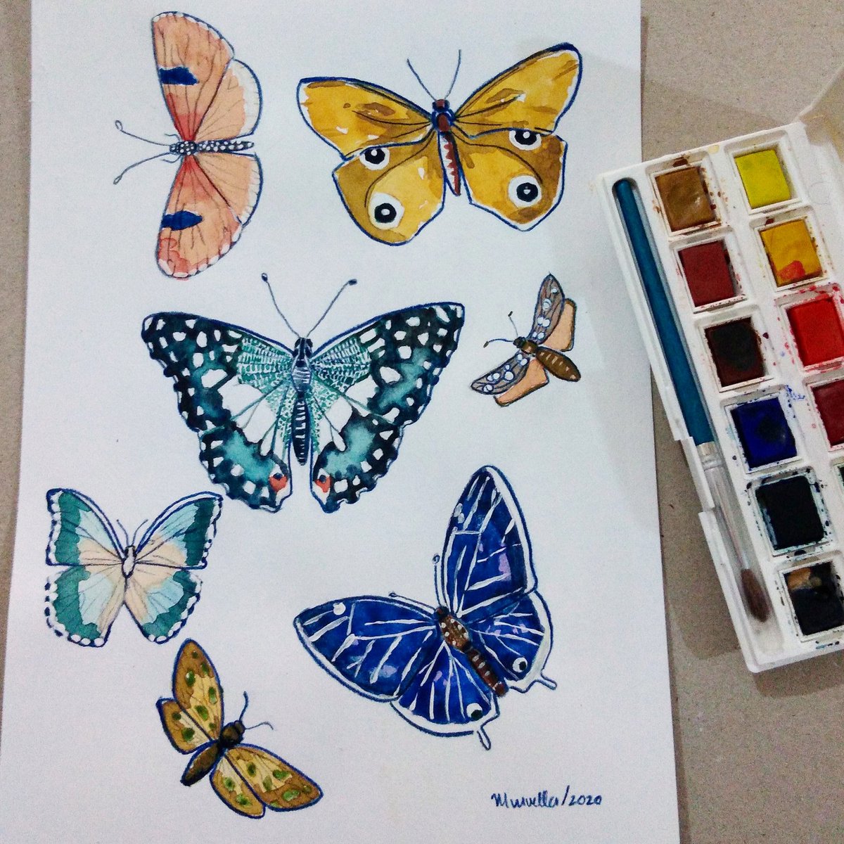 Nature🦋
#Watercolor #nature #acuarela #ilustracion