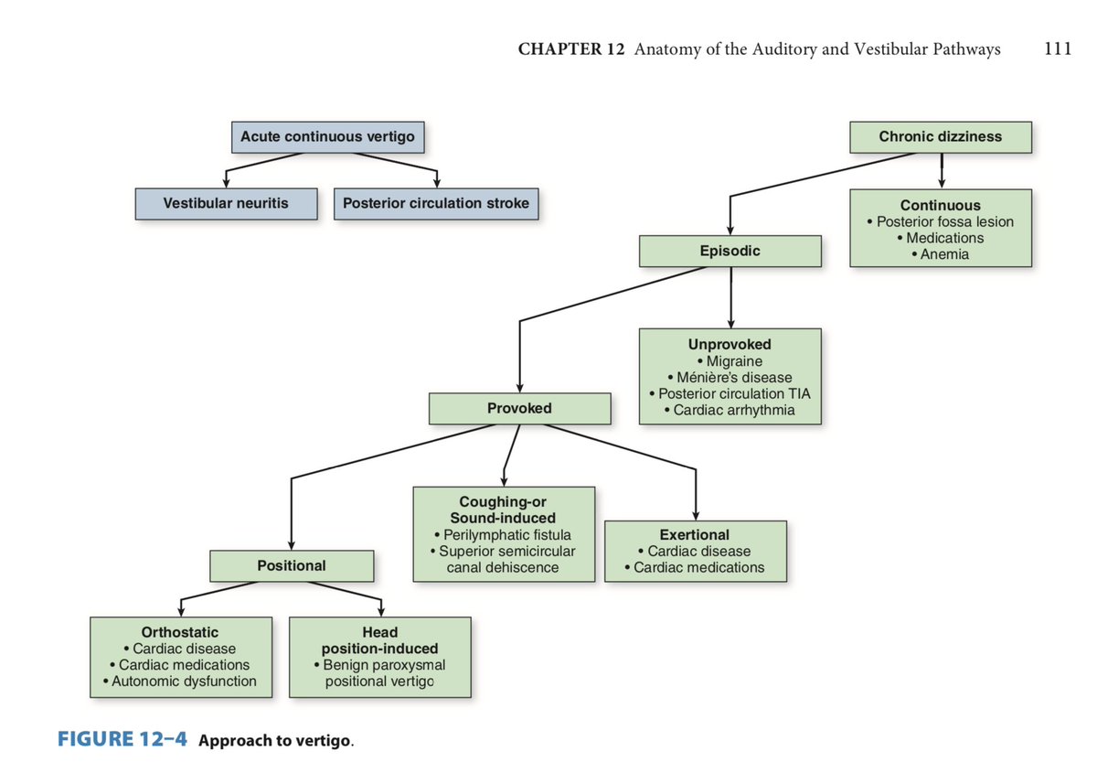 History should also address TIMING and TRIGGERSFor timing: Acute v chronic?(We’ll come back to acute) For chronic: continuous v episodicFor episodic: unprovoked v provokedIf provoked: provoked by what? (triggers)See attached flow chart from  https://www.amazon.com/Lange-Clinical-Neurology-Neuroanatomy-Localization-Based-ebook/dp/B01N8S6KVF 4/