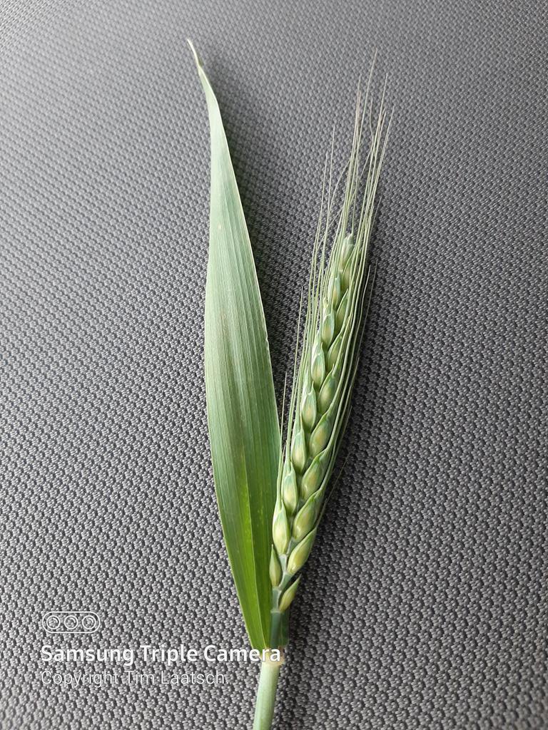 Heads up! Head's out.