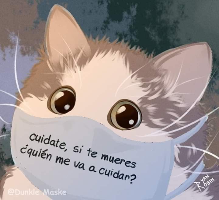 Mon_cet's tweet photo. #CuarentenaTOTALChile
PF..No olvidar nuestras mascotas en cuarentena 
Asegurar su comida para varios dias
Pasear con CORREA 
Adopta una mascota,muchas buscan un hogar hoy
Poner placa con 2 números actualizados
@PerrosPlazaHuem 
@AnimalParaiso 
@F_GarrasyPatas 
@BlanquitaMontt https://t.co/HRBcoZSjYj