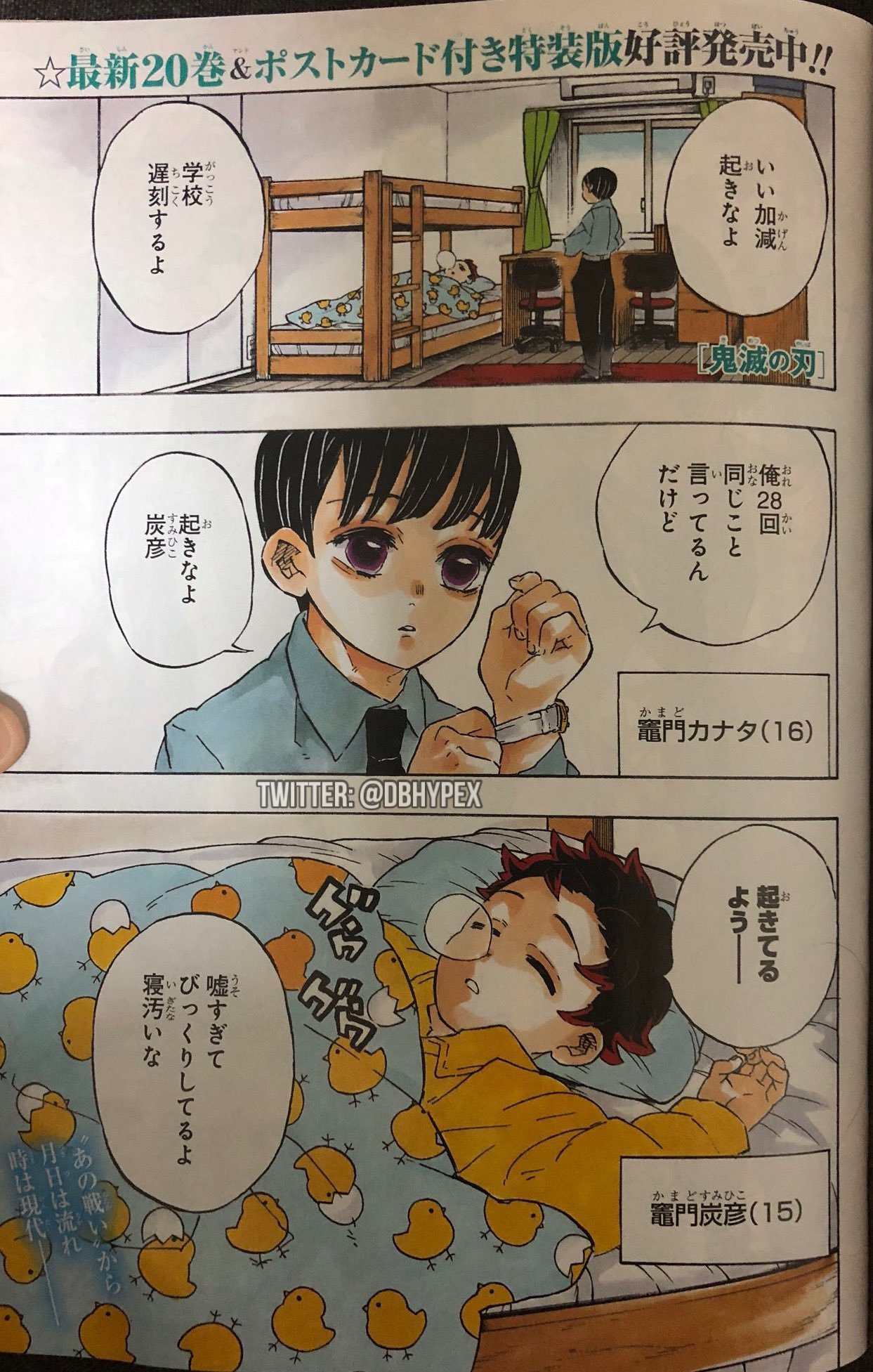 Lena @ sngy mom  on X: "KNY 205 SPOILERS Kanata: Hurry up and wake up,  we're late for school. K: I've said the same thing 28 times already, wake  up Sumihiko.