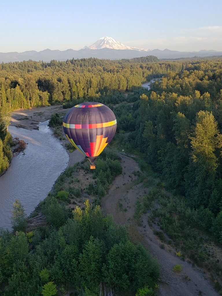 visitmtrainier tweet picture