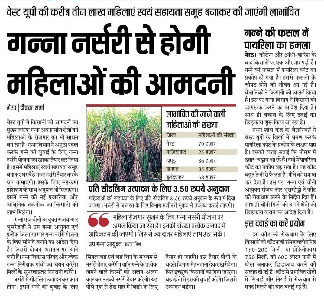 "गन्ना नर्सरी से होगी महिलाओं की आमदनी"
#canewebsite 
upcane.in
caneup.in
E-ganna app
<a href="/UPGovt/">Government of UP</a> <a href="/SureshRanaBJP/">Suresh Rana</a>